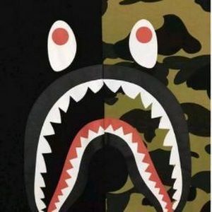 Meet your Posher, Roy